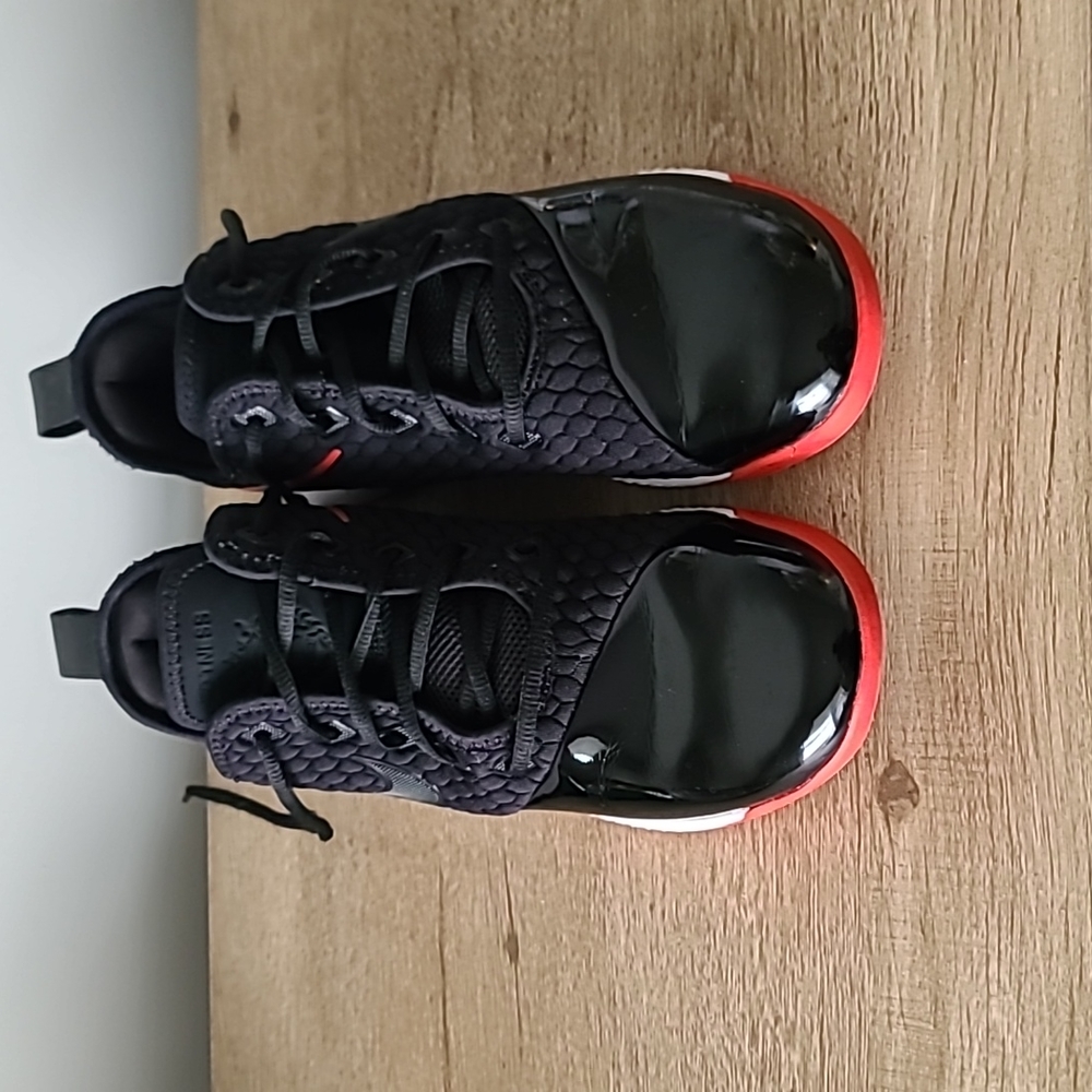 Lebron Witness 3